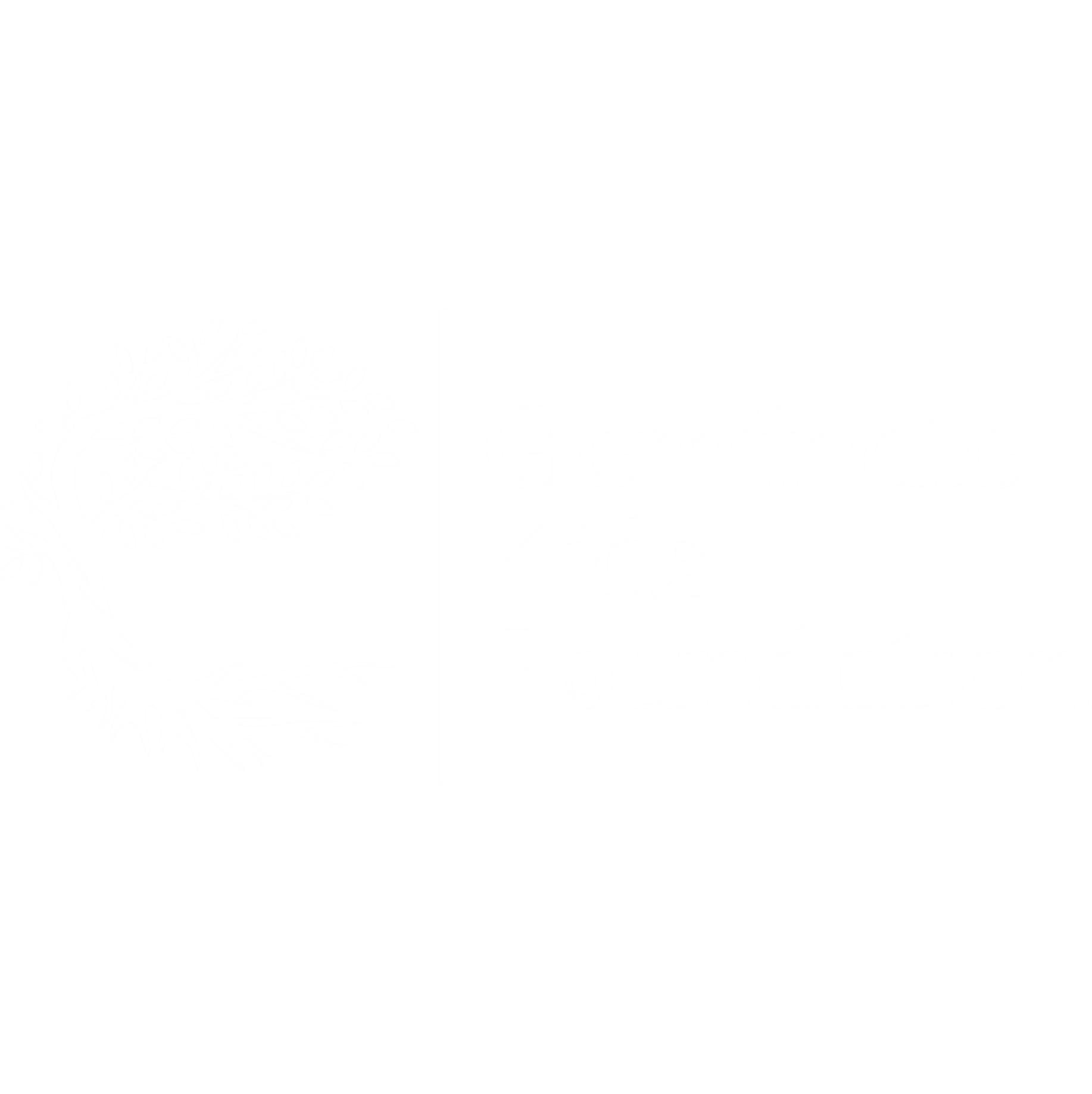 Gem'inate Kids Foundation Logo